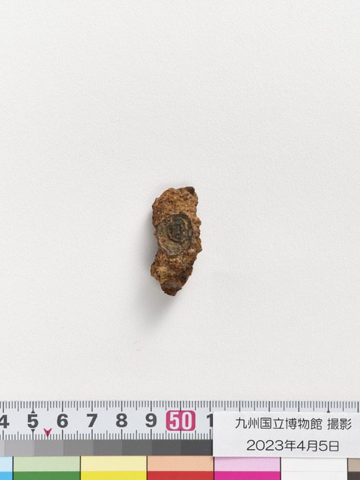 真秀ろば  ColBase