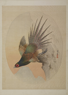 【初日カバー】 故宮名画「花鳥図」(1通) ColBase