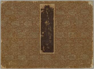 Albums of insects and worms