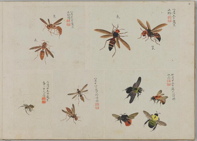 小柄「飛蝗に虫篭図」 江戸期 小柄「飛蝗に虫篭図」 江戸期 秋草に鹿図大小鐔 文化遺産