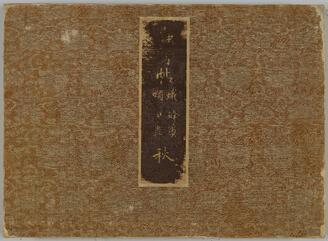 Albums of insects and worms