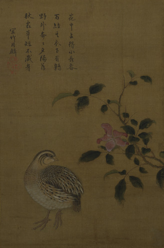 China Rose and a Quail by Inscription by Keijo Shūrin