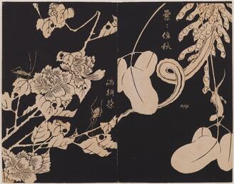 #伊豆高原美術館旧蔵品 #現代洋画家 #麻耶レイ #夢 56㎝×47㎝ #人気 近藤 昌美 | 美術館の中の展示もものすごく良い。タブローは小林