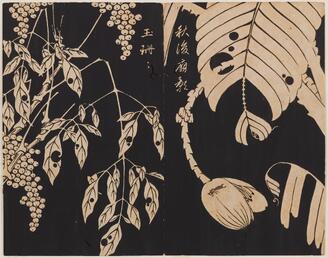 "Genpo yoka" (Collection of Flowering Plants) by Ito Jakuchu