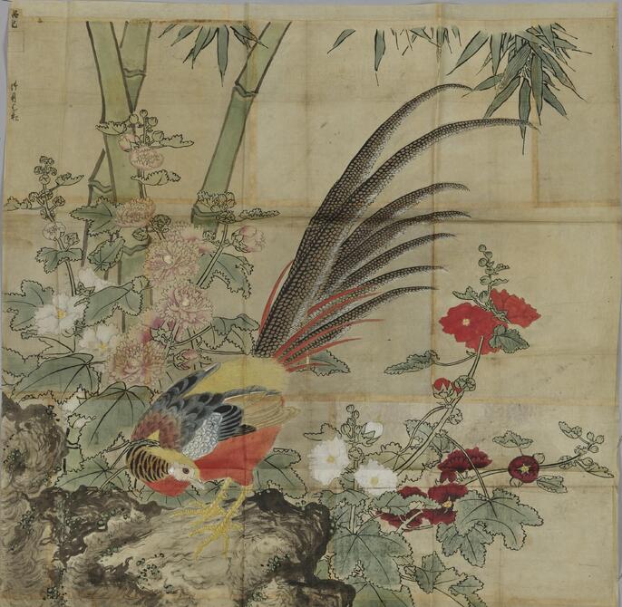 【芙蓉に鳥図】三尾呉石 2692 桔梗 女郎花 秋草 掛け軸 肉筆 ColBase