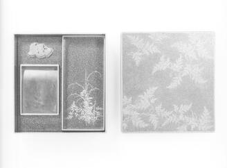 Writing Box with Squirrel's Foot Ferns