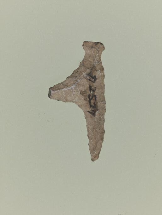 縄文時代の異形石器 ColBase