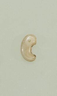 Magatama bead