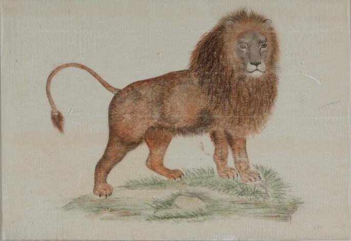 原画【ライオン】 原画【ライオン】 LION」 by TOMOYA｜Artmeter｜暮らしを彩るアートが