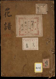 Catalogue of Flowering Plants