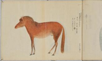 《明治十年十月内国勧業博覧会出品動物類写生》