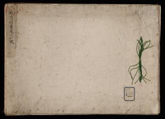 滝の川紅葉見の和歌