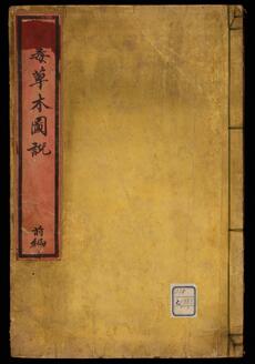 Poisonous Plants and Trees Illustrated