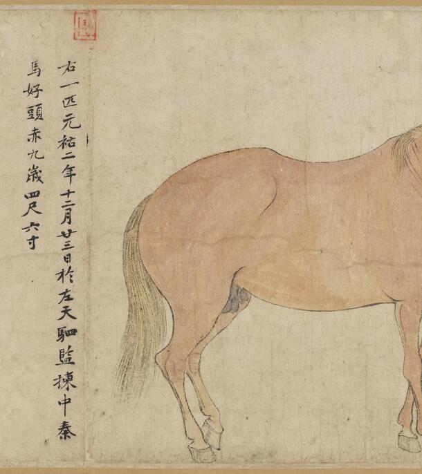 時代 馬学 巻物 まくり 4枚 和本 墨書 馬医書 馬療図 古文書 資料 戦前