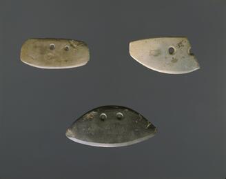 Polished Stone Sickles