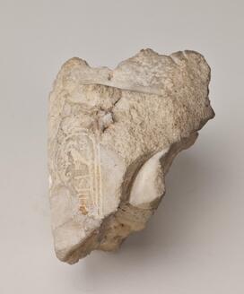 Fragment Inscribed with the Cartouche of Pharaoh Akhenaten