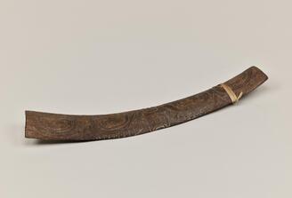 醫師ノ所持スル棒